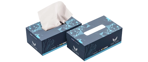 5-Tissue-Boxes