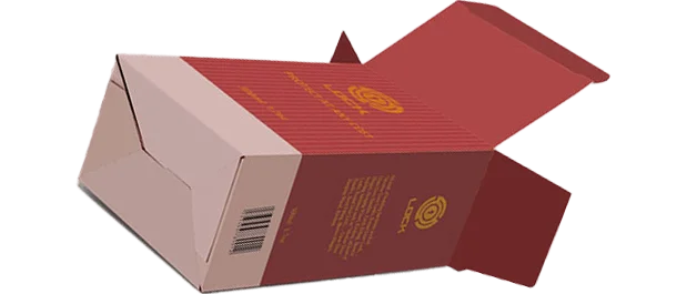 5-snap-lock-bottom-boxes