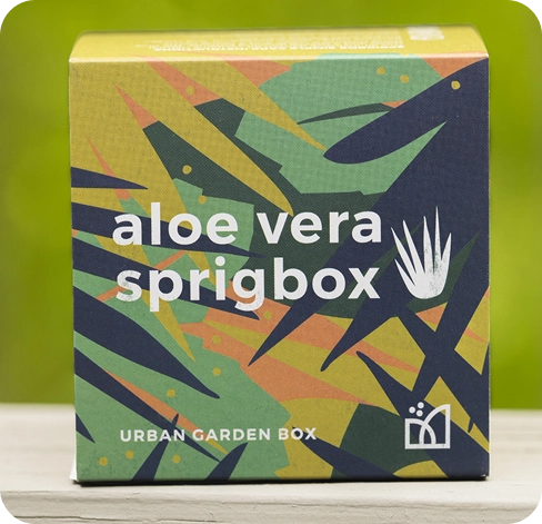4-printed-aloe-vera-boxes