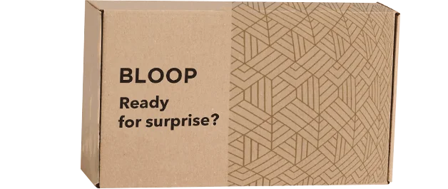 5-Kraft-Mailer-Boxes