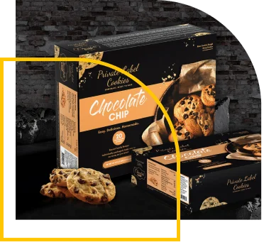 Frozen-cookie-boxes