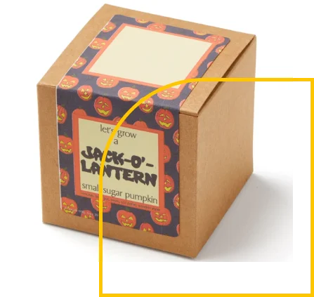 Seeds-Boxes