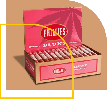 hemp-blunt-boxes-1