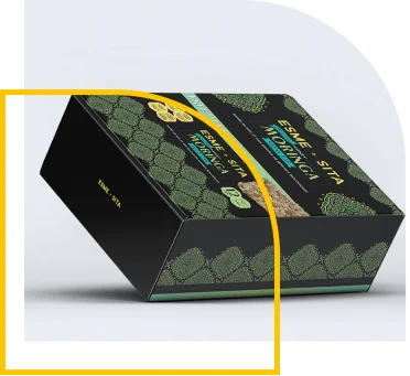 moringa-boxes-1
