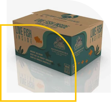 aquarium-product-boxes